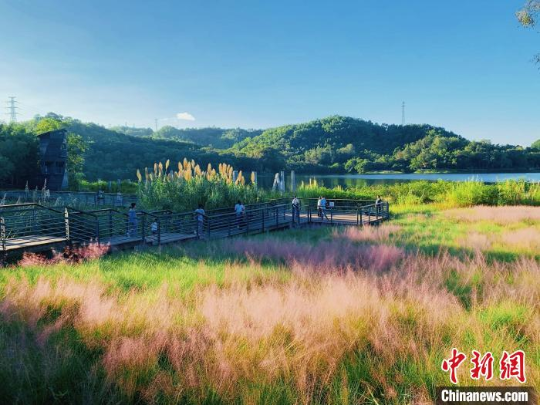 广东中山国家森林公园 亚洲博彩平台排名 供图 亚洲博彩平台排名