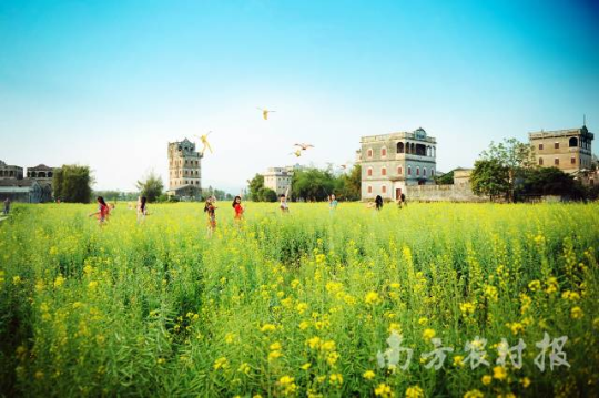 江门开平市自力村内的花海碉楼 江门开平市自力村内的花海碉楼