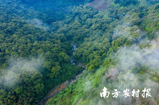 汕尾陆河县椎涛飞瀑 汕尾陆河县椎涛飞瀑