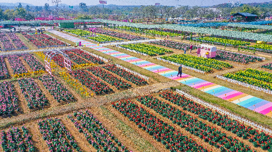 广东盈香生态园四季花海.jpg