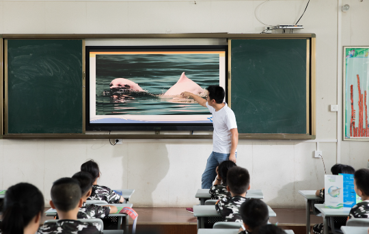 珠江口中华白海豚课堂.png