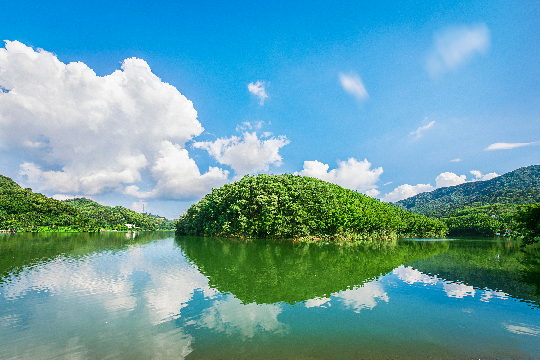 筲箕窝林地.jpg