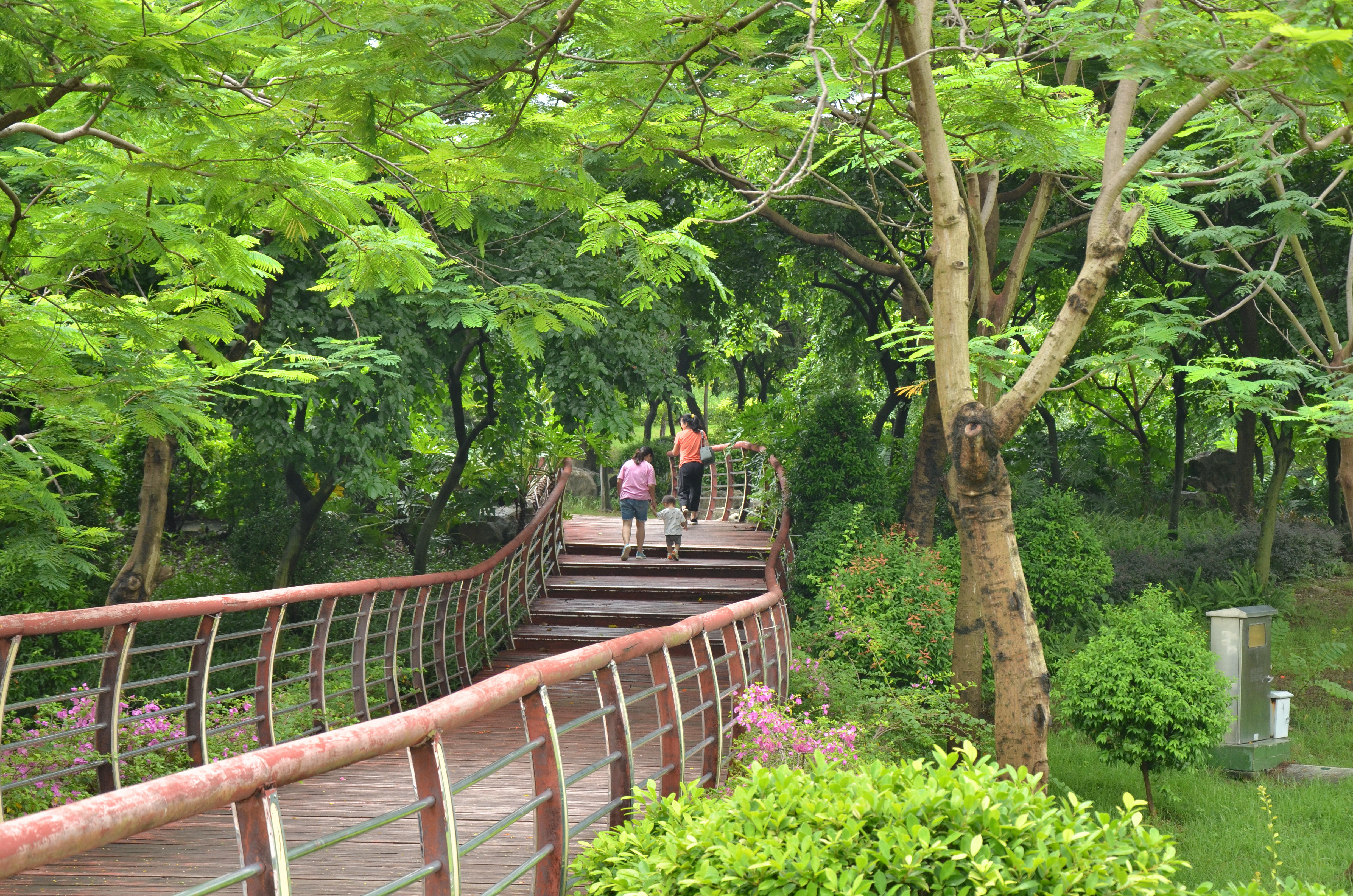 亚洲博彩平台排名