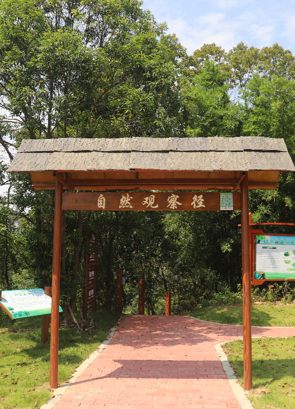 亚洲博彩平台排名