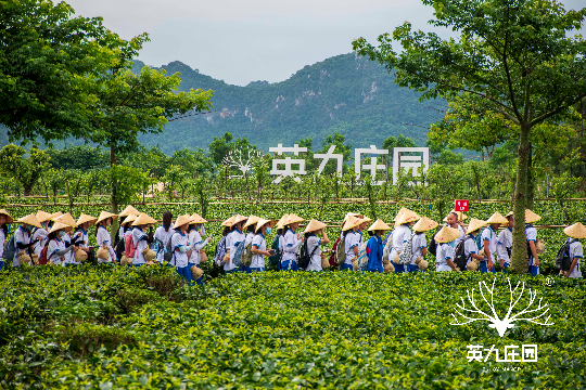 亚洲博彩平台排名