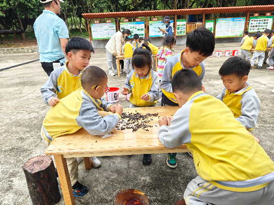 种子识别分类游戏.jpg