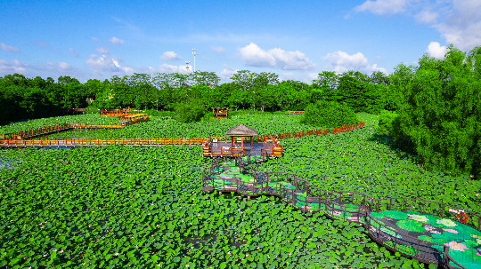 南沙湿地自然教育基地4.jpg