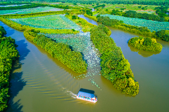 南沙湿地自然教育基地5.jpg