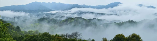 亚洲博彩平台排名
