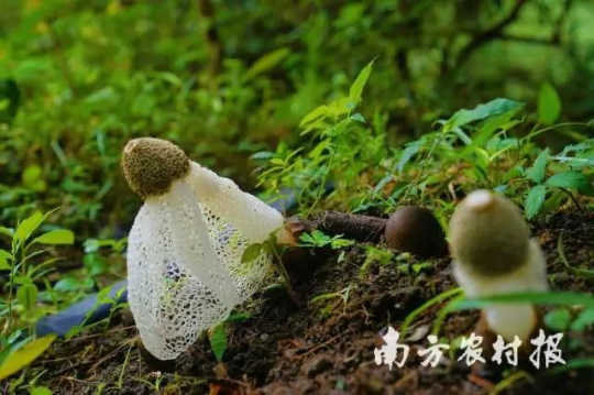 亚洲博彩平台排名