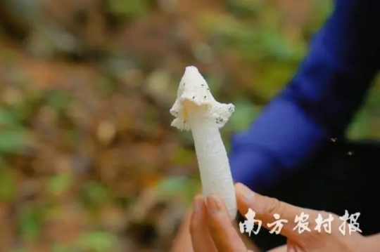 亚洲博彩平台排名