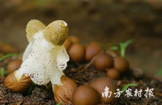 亚洲博彩平台排名
