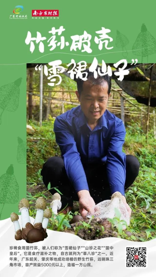 亚洲博彩平台排名
