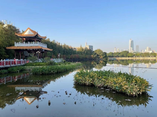 东山湖公园小微湿地.png?x-oss-process=style/w10