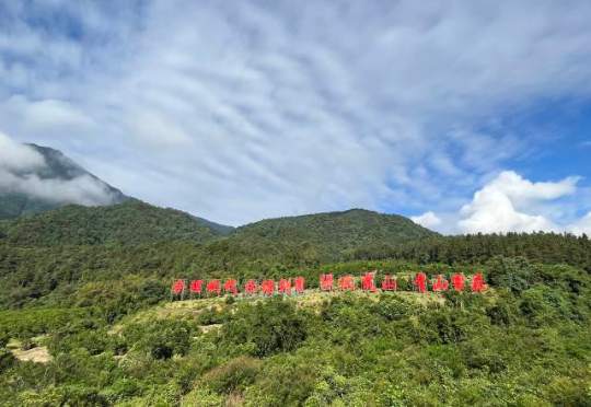 亚洲博彩平台排名