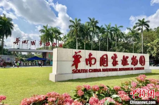 亚洲博彩平台排名