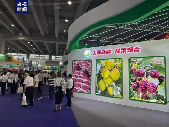 亚洲博彩平台排名