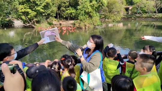 亚洲博彩平台排名
