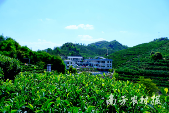 东源县云上仙湖民宿服务有限公司 东源县云上仙湖民宿服务有限公司
