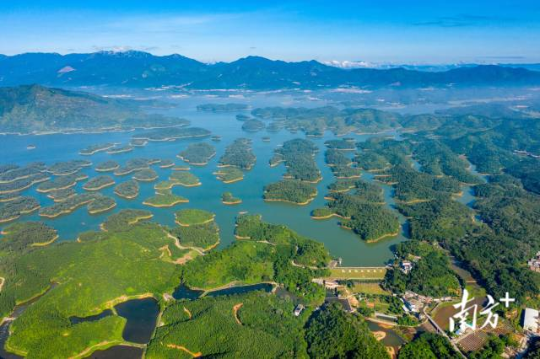 江门统筹山水林田湖草沙一体化保护和修复，在水库周边开展森林质量精准提升。图为开平孔雀湖国家湿地公园。 林国强 摄