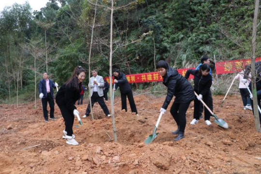 封开县举行春季植树造林活动。封开县融媒体中心 供图 封开县举行春季植树造林活动。封开县融媒体中心 供图