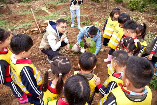 工作人员在进行植树教学 工作人员在进行植树教学