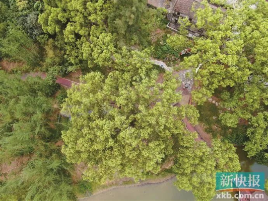 亚洲博彩平台排名