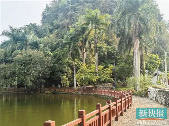 亚洲博彩平台排名