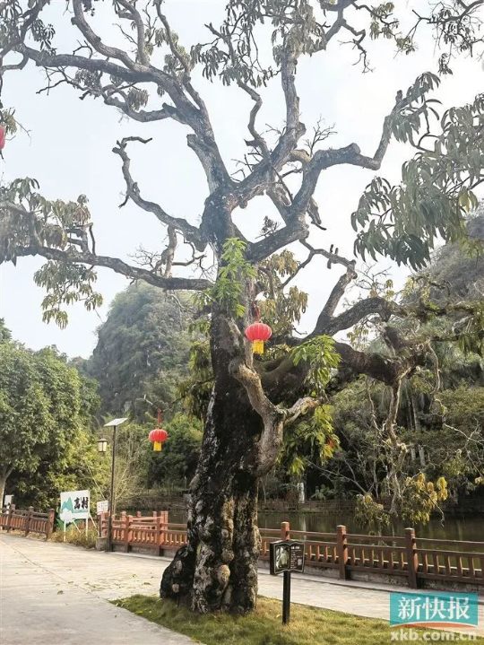 亚洲博彩平台排名