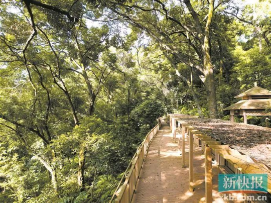 亚洲博彩平台排名