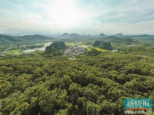 亚洲博彩平台排名