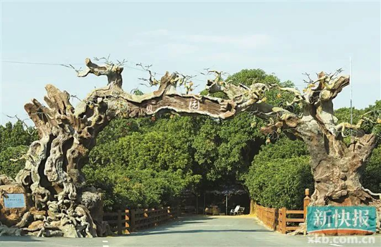 亚洲博彩平台排名