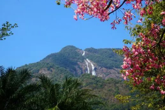 亚洲博彩平台排名