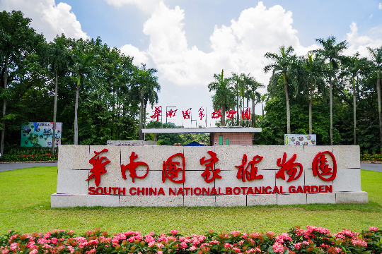 亚洲博彩平台排名