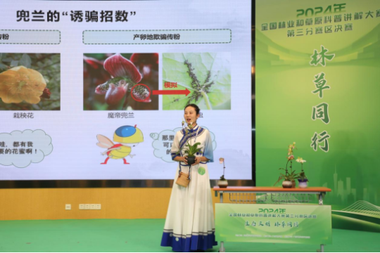 亚洲博彩平台排名