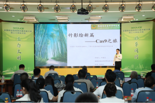 亚洲博彩平台排名