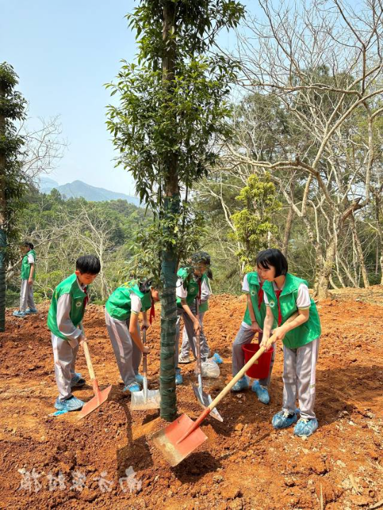 潮州学生植树 潮州学生植树
