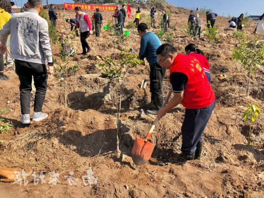 东莞开展义务植树活动 东莞开展义务植树活动