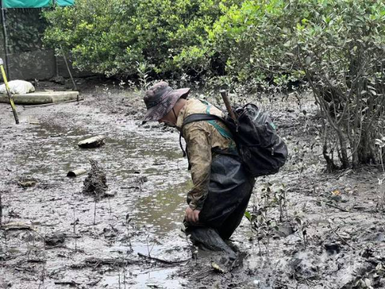 专业调查队员在进行湿地样地调查工作 专业调查队员在进行湿地样地调查工作