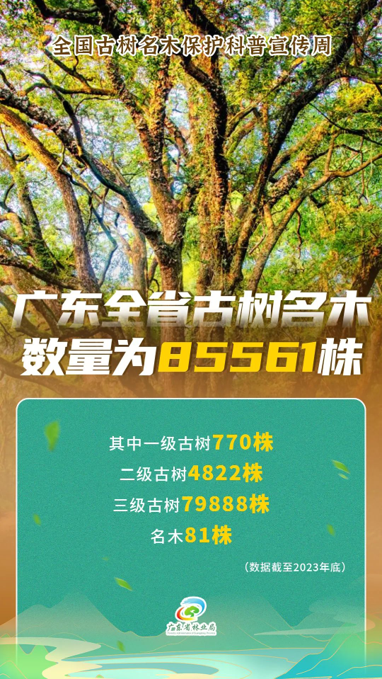 亚洲博彩平台排名