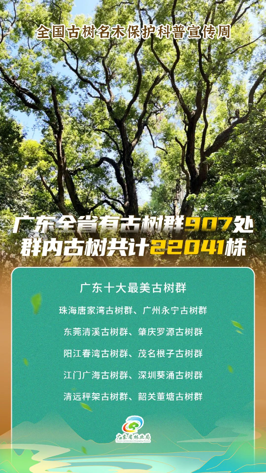 亚洲博彩平台排名