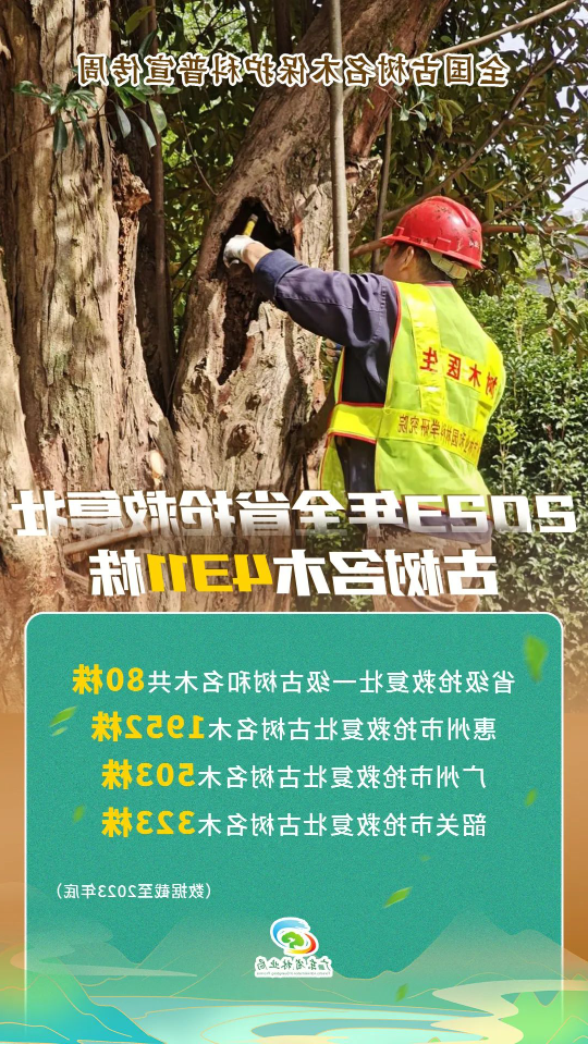 亚洲博彩平台排名