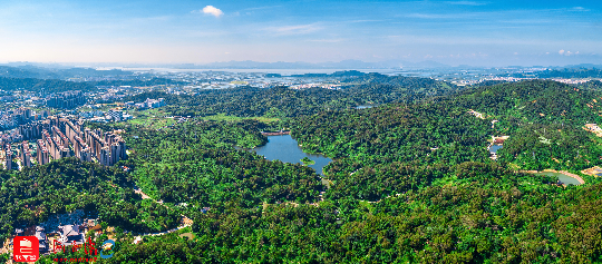 汕头潮阳西环山森林公园(通讯员供图)