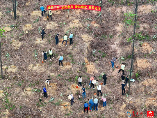 广州开展植树活动(通讯员供图)