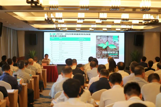 亚洲博彩平台排名