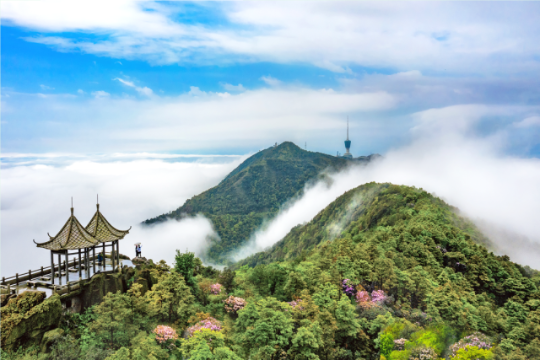 亚洲博彩平台排名