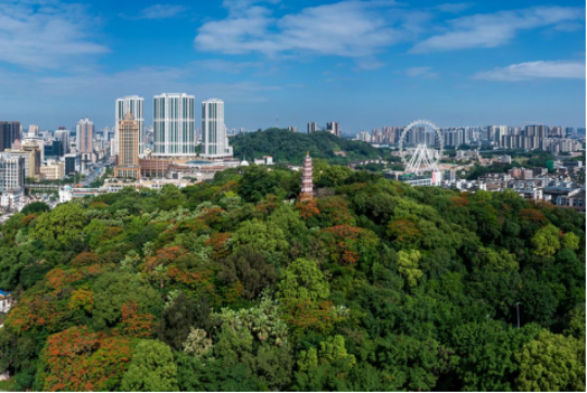 亚洲博彩平台排名