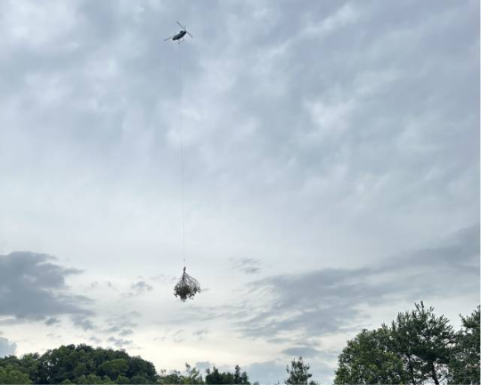 防治人员利用无人机将初步消杀处理的松材线虫病疫木转运至粉碎点。通讯员供图,下同。 防治人员利用无人机将初步消杀处理的松材线虫病疫木转运至粉碎点。通讯员供图,下同。