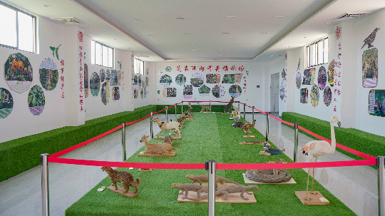 亚洲博彩平台排名