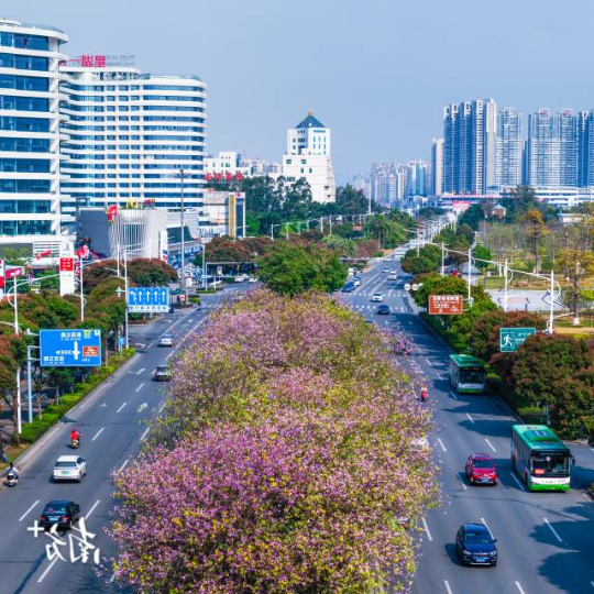 受访者供图